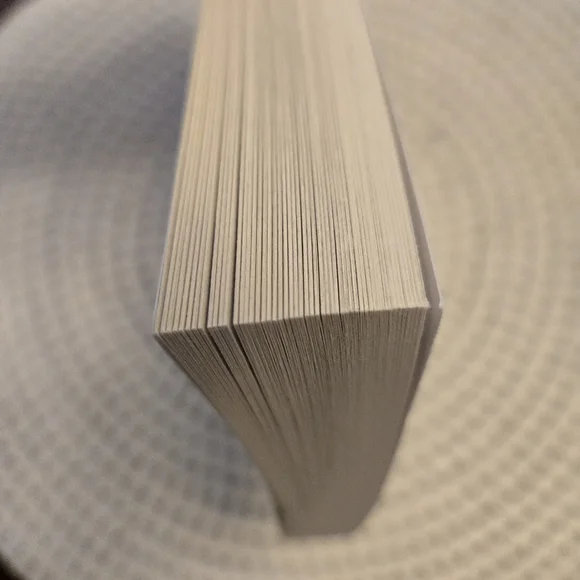 Theo of Golden: A Novel by Allen Levi - 2025 Paperback Book - Picture 7 of 10